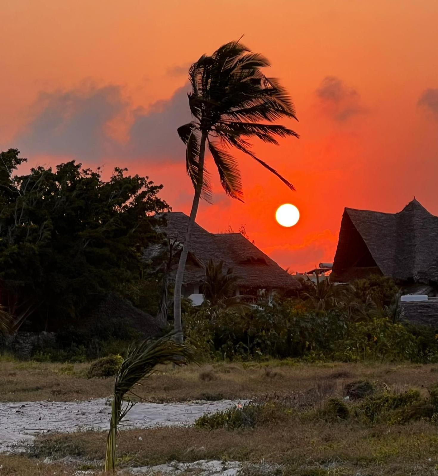 Shira House Bed & Breakfast Watamu Exterior foto